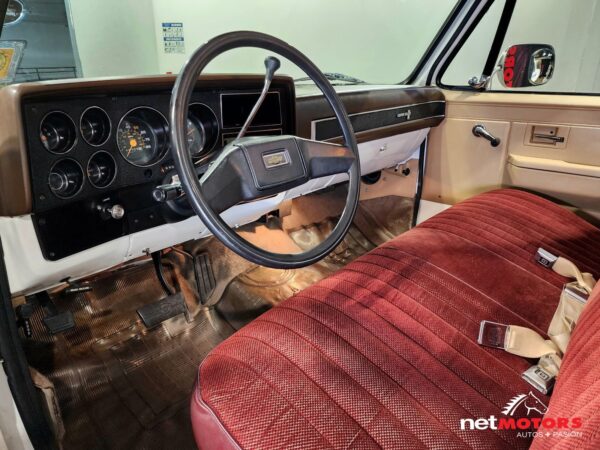 Chevrolet Cheyenne Custom Deluxe 1986 Caja Larga - Imagen 9