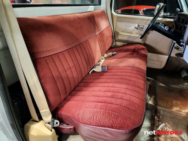 Chevrolet Cheyenne Custom Deluxe 1986 Caja Larga - Imagen 14