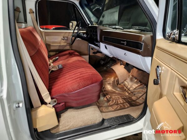 Chevrolet Cheyenne Custom Deluxe 1986 Caja Larga - Imagen 13