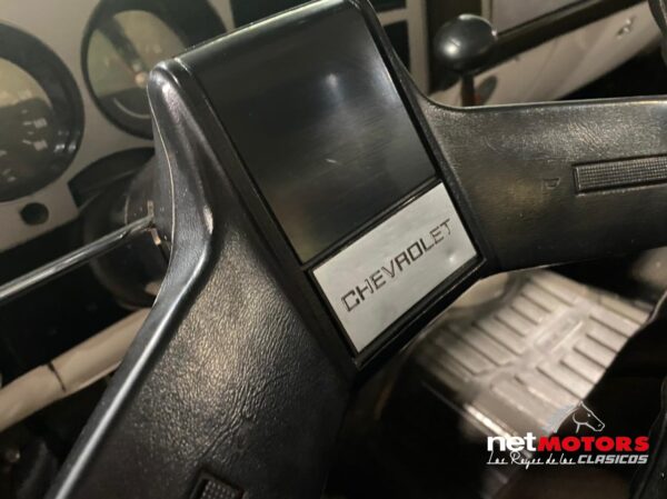 Chevrolet Cheyenne 1982 - Imagen 21