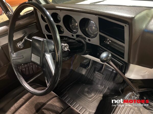 Chevrolet Cheyenne 1982 - Imagen 11