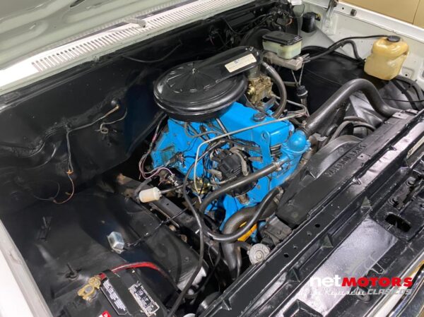 Chevrolet Cheyenne 1982 - Imagen 9