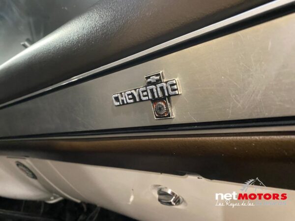 Chevrolet Cheyenne 1982 - Imagen 8