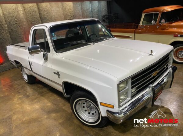 Chevrolet Cheyenne 1982 - Imagen 7