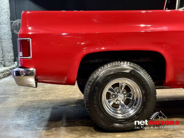 Chevrolet Cheyenne 1990 - Imagen 11