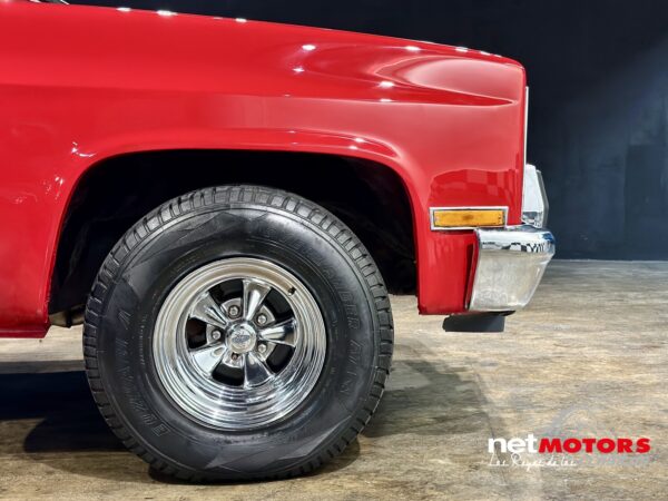 Chevrolet Cheyenne 1990 - Imagen 9