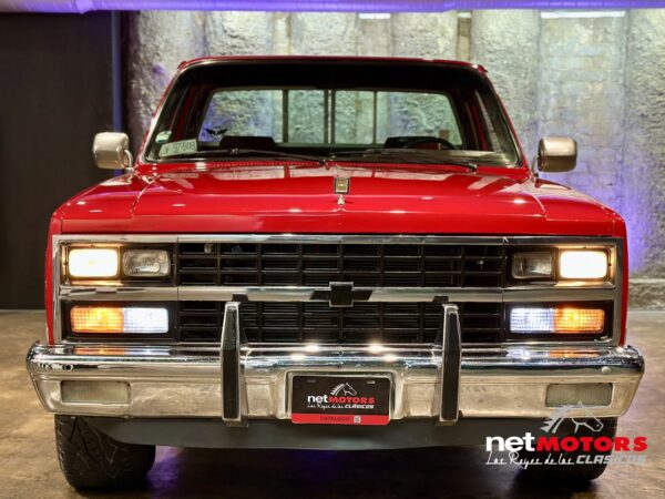 Chevrolet Cheyenne 1990 - Imagen 8