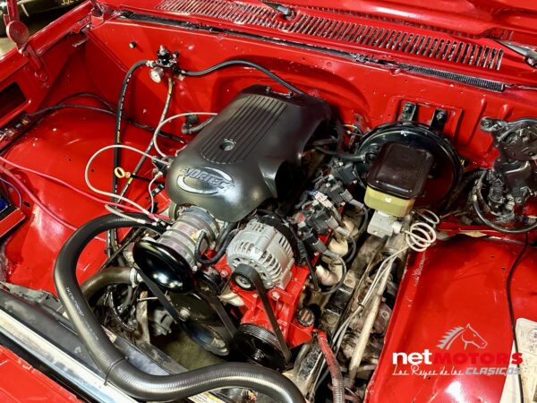 Chevrolet Cheyenne 1990 - Imagen 23