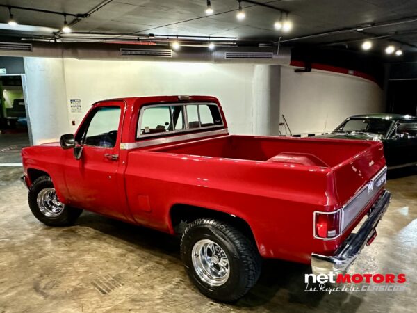 Chevrolet Cheyenne 1990 - Imagen 3