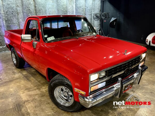 Chevrolet Cheyenne 1990 - Imagen 2