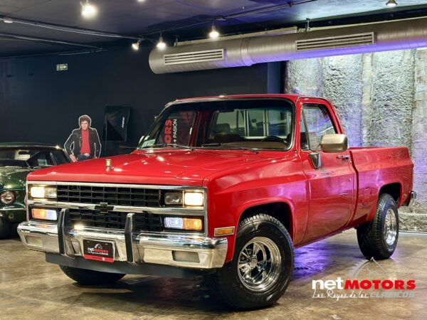 Chevrolet Cheyenne 1990 - Imagen 25
