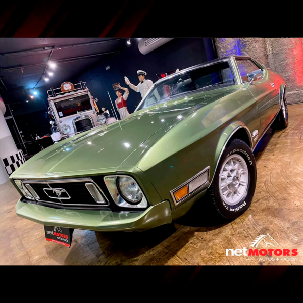 Ford Mustang Hard Top 1973