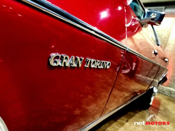 Ford Guayin Gran Torino 1975 - Imagen 9