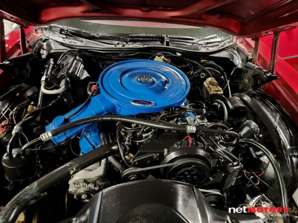 Ford Guayin Gran Torino 1975 - Imagen 20