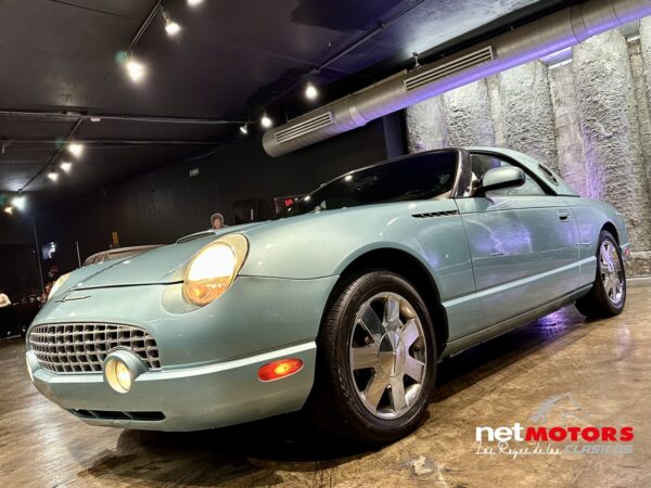Ford Thunderbird 2002 - Imagen 16