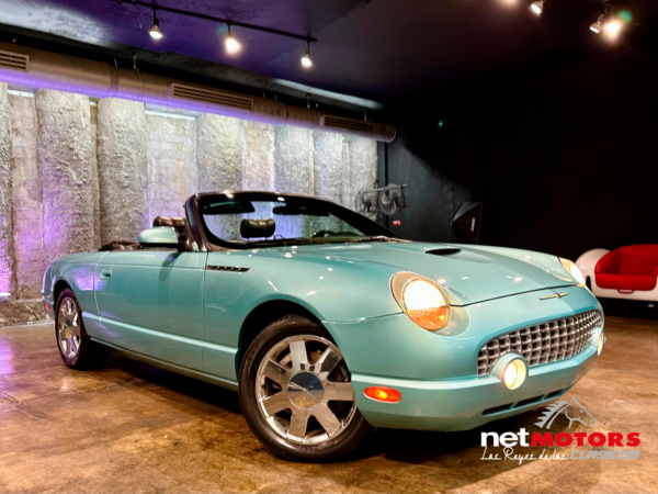 Ford Thunderbird 2002 - Imagen 31