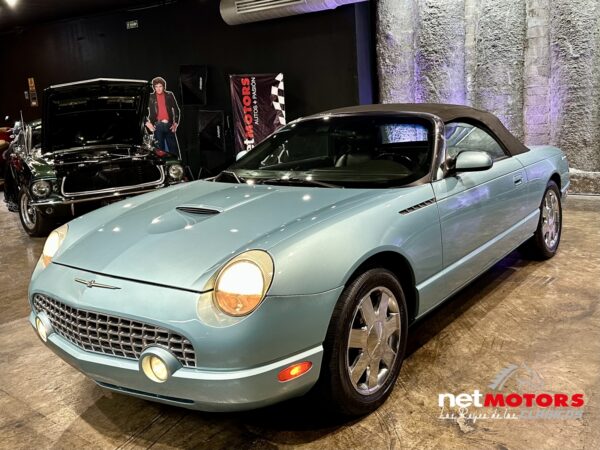 Ford Thunderbird 2002 - Imagen 11