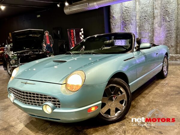 Ford Thunderbird 2002 - Imagen 10