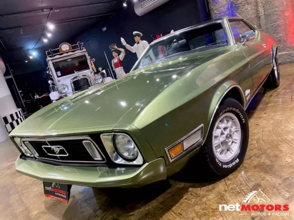 Ford Mustang Hard Top 1973 - Imagen 2