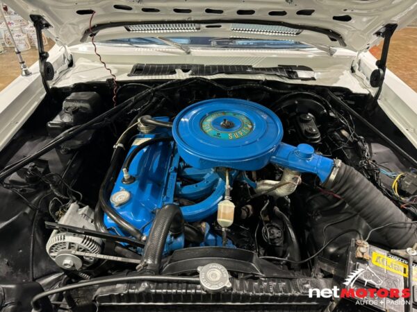 Valiant Volare Super Bee Tributo 1979 - Imagen 14