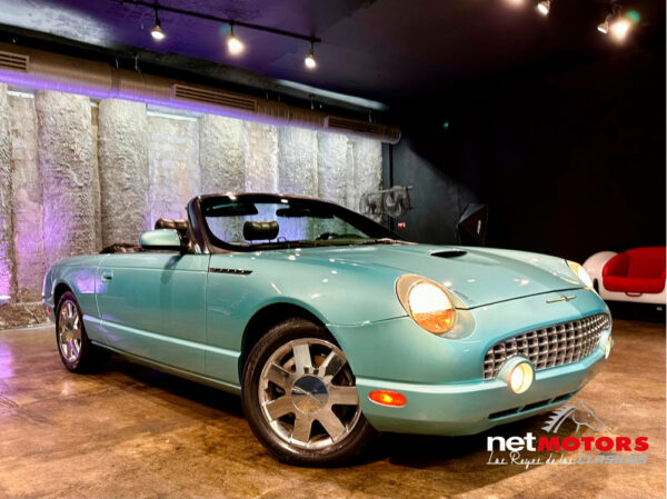 Ford Thunderbird 2002 - Imagen 276