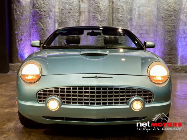 Ford Thunderbird 2002 - Imagen 277