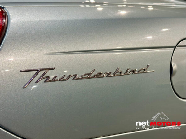 Ford Thunderbird 2002 - Imagen 285
